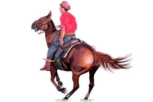 534x356-gaucho