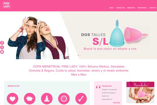 534x356-portfolio-home-pinklady
