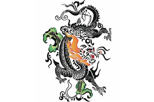 534x356-portfolio-home-dragon-chinois