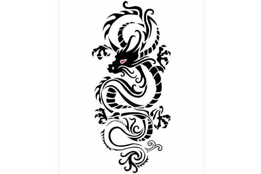 534x356-portfolio-home-dragon-tattoo