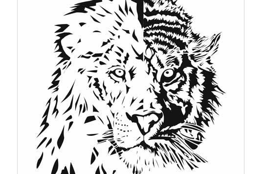 534x356-portfolio-home-leontigre