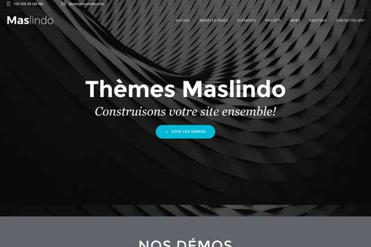 534x356-portfolio-home-maslindo