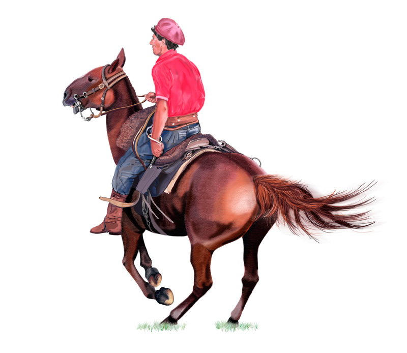 cheval2